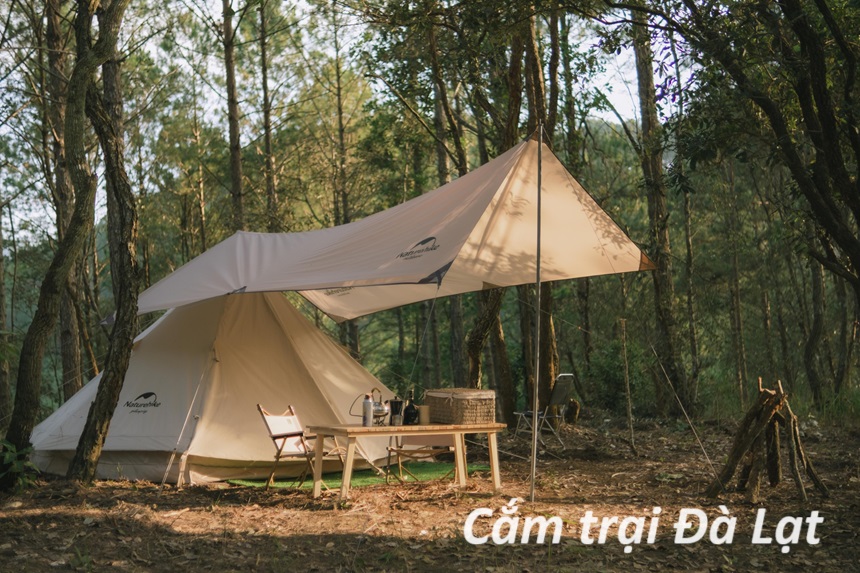 Top các địa điểm cắm trại Đà Lạt view đẹp, nằm gần rừng thông.