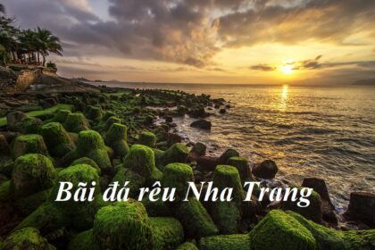 Bãi rêu Nha Trang ở đâu? Hình ảnh bãi đá rêu Nha Trang đẹp.