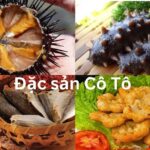 Đặc sản Cô Tô mua về làm quà, Cô Tô có đặc sản gì ngon?