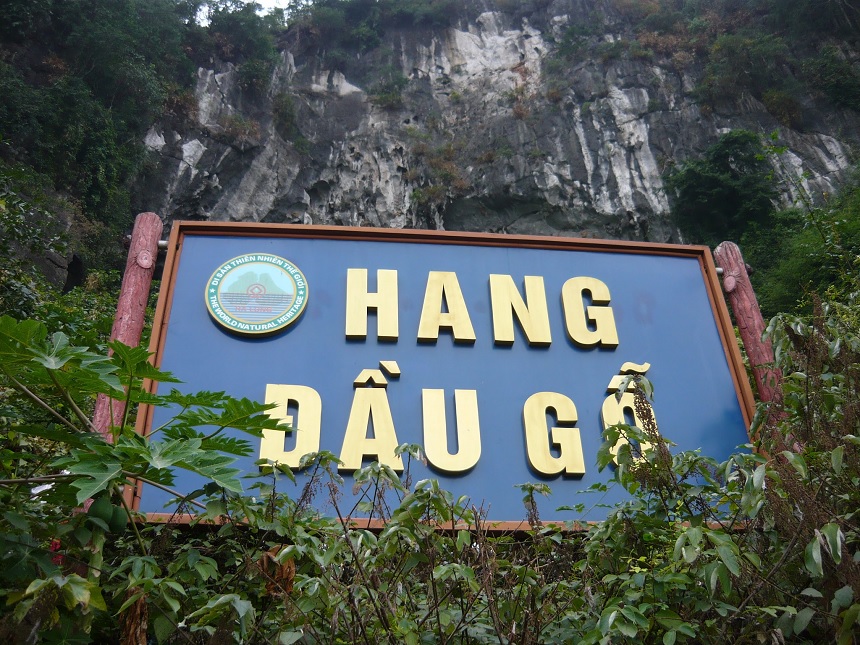 Hang Đầu Gỗ Vịnh Hạ Long Quảng Ninh ở đâu, sự tích, hình ảnh.