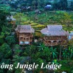 Review Pù Luông Jungle Lodge có gì, Jungle Lodge Pù Luông.