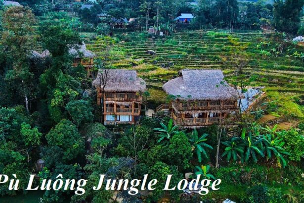 Review Pù Luông Jungle Lodge có gì, Jungle Lodge Pù Luông.