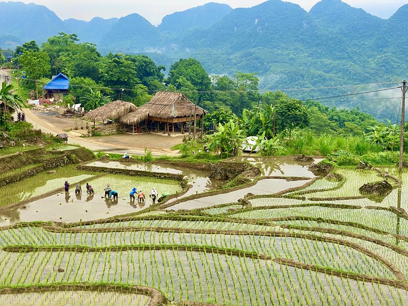 Không gian tại Pù Luông Jungle Lodge.