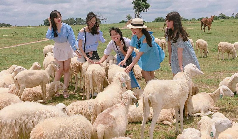 Những địa điểm mới toanh ở Vũng Tàu - Đồng Cừu Suối Nghệ