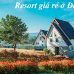 Những resort Đà Lạt giá rẻ, resort ở Đà Lạt view đẹp, yên tĩnh.