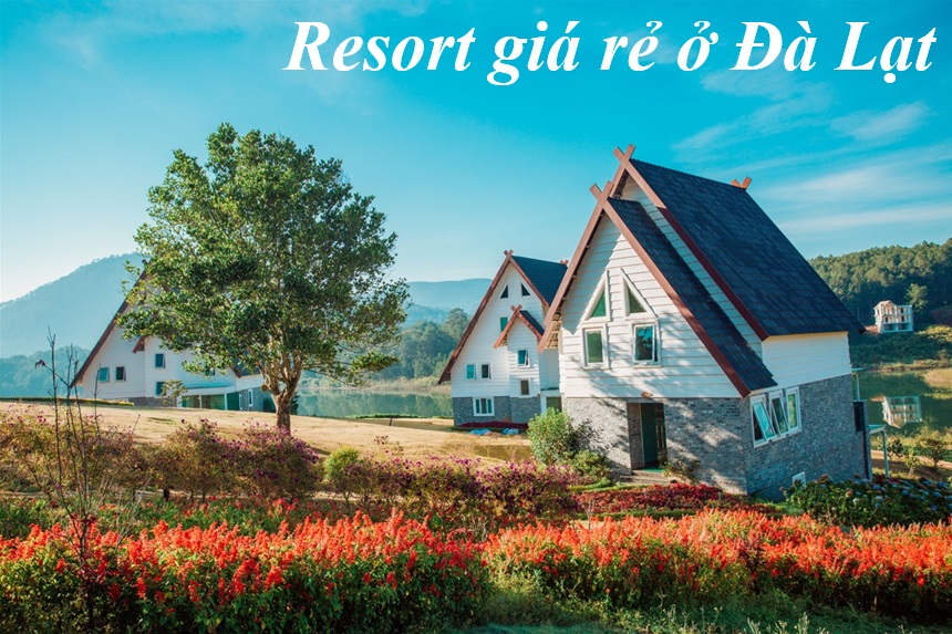 Những resort Đà Lạt giá rẻ, resort ở Đà Lạt view đẹp, yên tĩnh.