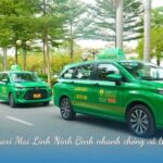 Dịch vụ taxi Mai Linh Ninh Bình nhanh chóng và thuận tiện