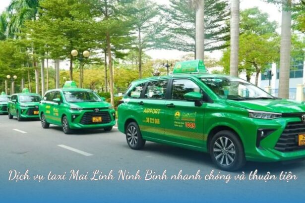 Dịch vụ taxi Mai Linh Ninh Bình nhanh chóng và thuận tiện