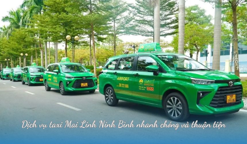 Dịch vụ taxi Mai Linh Ninh Bình nhanh chóng và thuận tiện