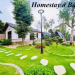 Địa chỉ homestay Ba Vì cho 2 người, homestay ở Ba Vì cho cặp đôi.