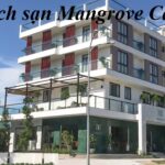 Khách sạn Mangrove Cần Giờ có tốt không? Dịch vụ mấy sao.