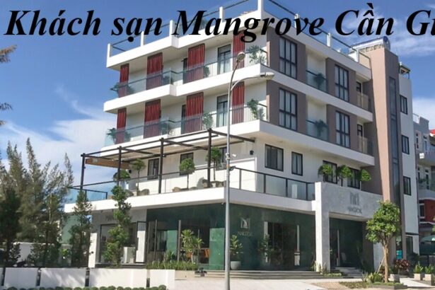 Khách sạn Mangrove Cần Giờ có tốt không? Dịch vụ mấy sao.