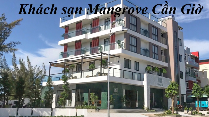 Khách sạn Mangrove Cần Giờ có tốt không? Dịch vụ mấy sao.