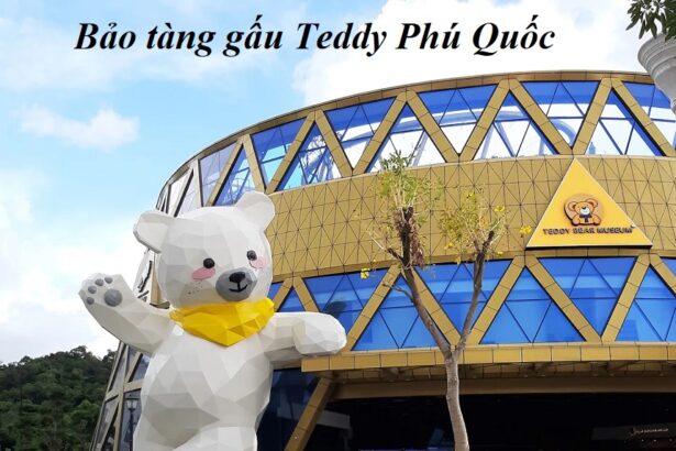 Bảo tàng Gấu Teddy Phú Quốc ở đâu? Có gì bên trong?